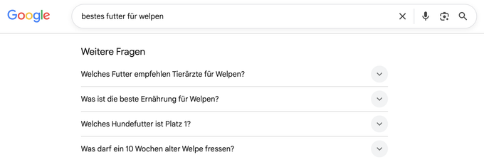 Google-SERP mit „People Also Ask"-Box zum Thema „bestes futter für welpen"
