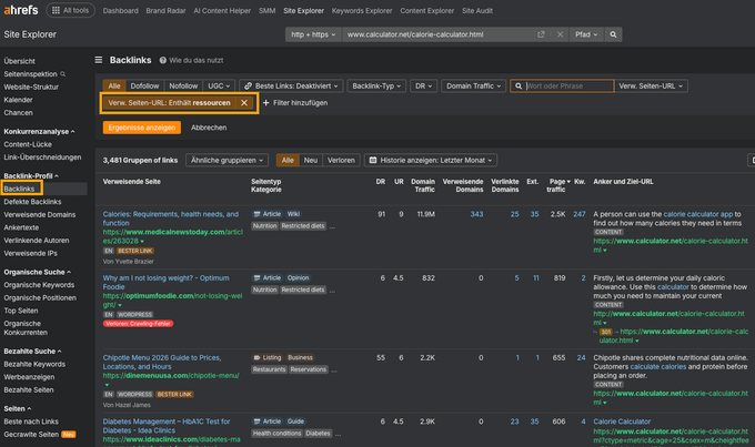 Screenshot aus dem Ahrefs Site Explorer mit Filter nach Ressourcenseiten