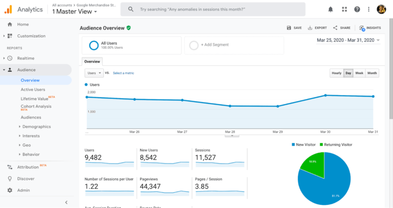 Google Analytics zeigt eine Audience-Übersicht mit Nutzern, Sitzungen und Seitenaufrufen.