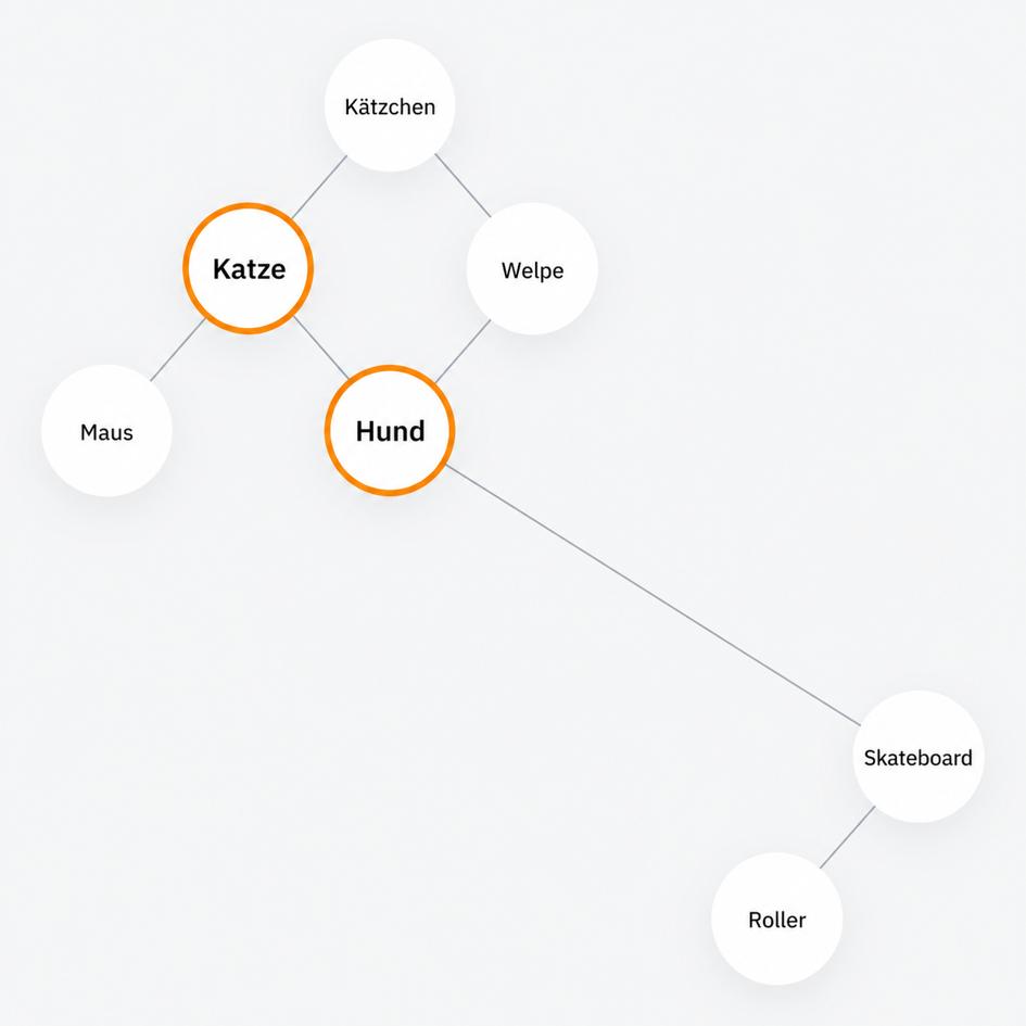 Netzwerkdiagramm verbindet ähnliche Begriffe wie Katze, Hund, Welpe und Kätzchen