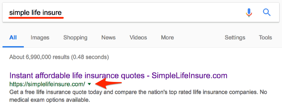 simple life insure google search