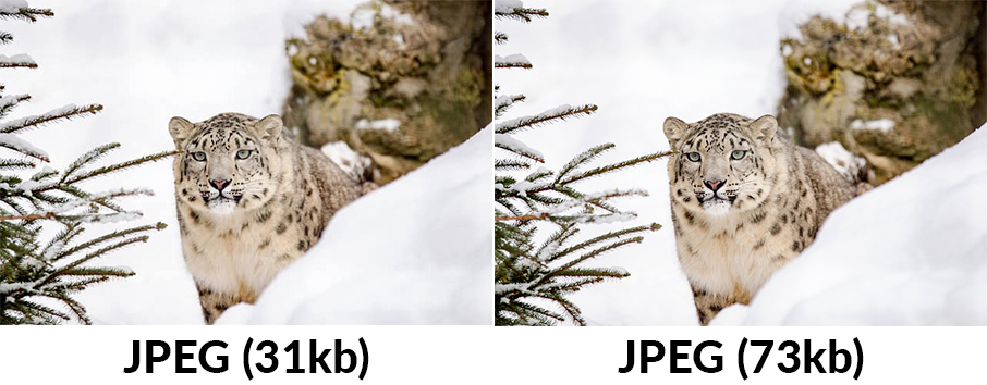Comparativa de dos imágenes JPEG con distintos niveles de compresión.