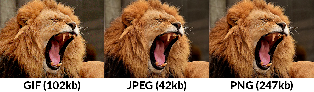  Comparando los niveles de compresión y calidad en una misma imagen en formato GIF, JPEG y PNG.
