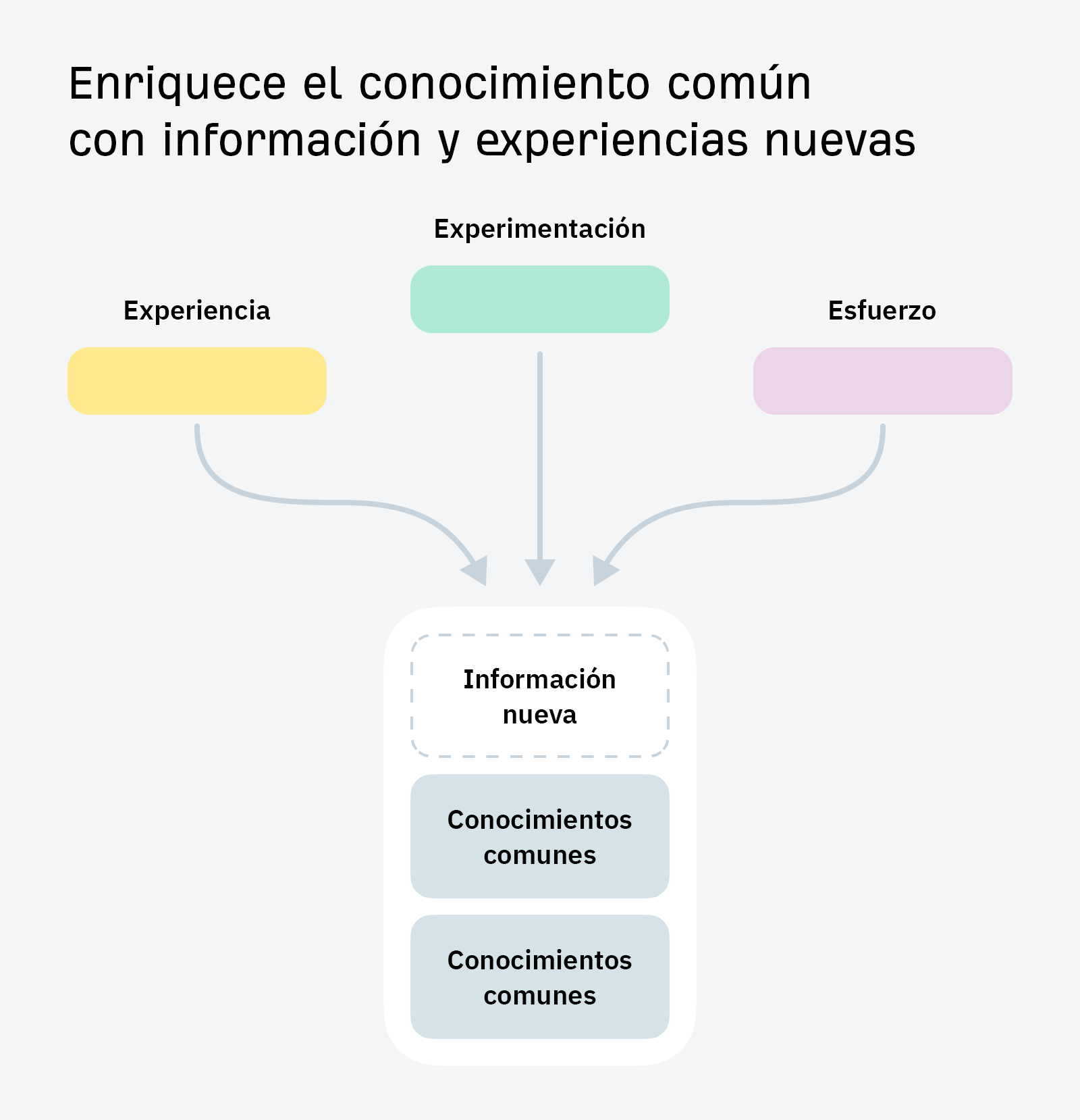 Infografía: Enriquece el conocimiento común con información y experiencias nuevas.