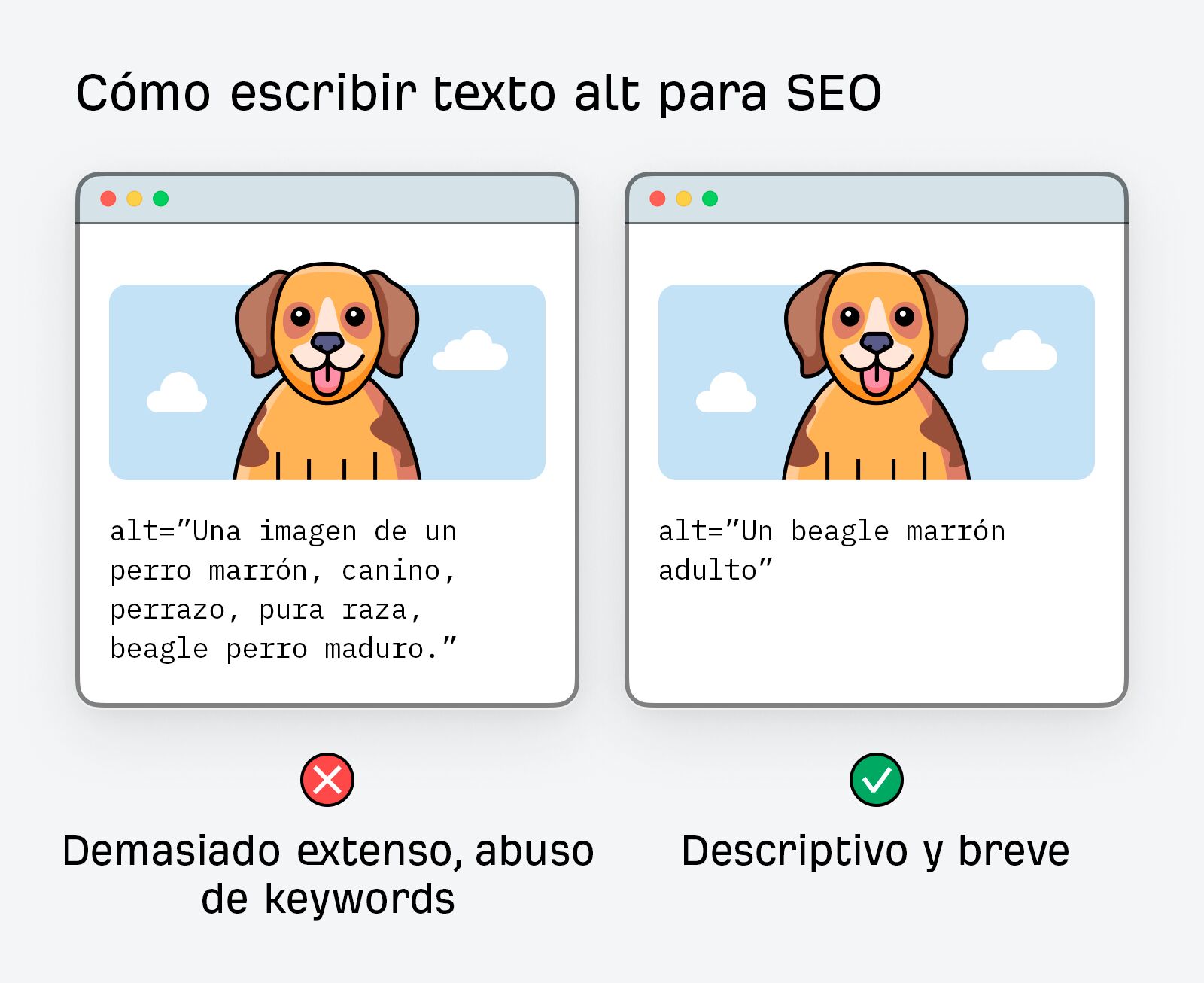 Cómo escribir texto alt para SEO