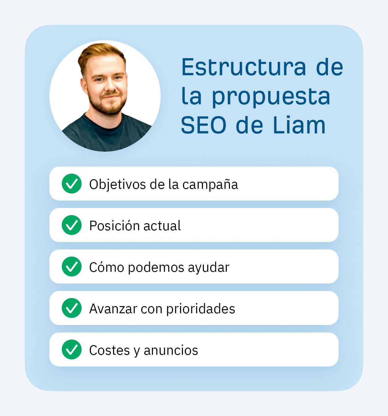 Estructura de la propuesta SEO de Liam