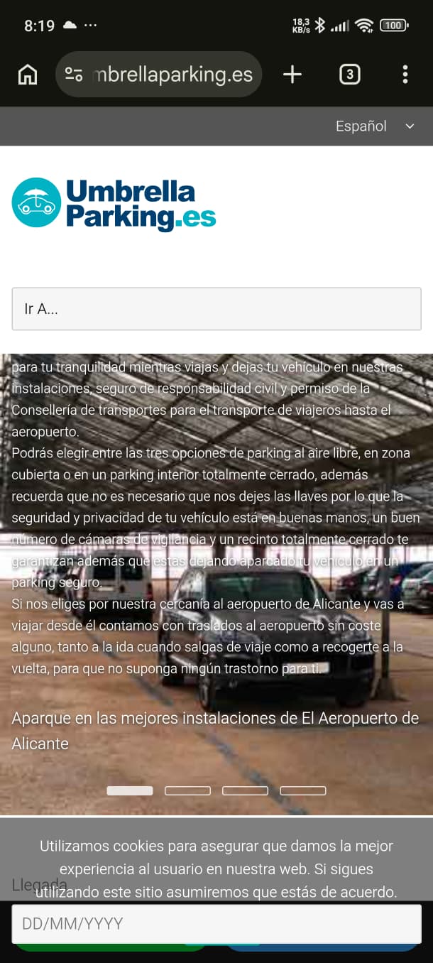 Texto redundante y excesivo en una web por no estar adaptada para móviles