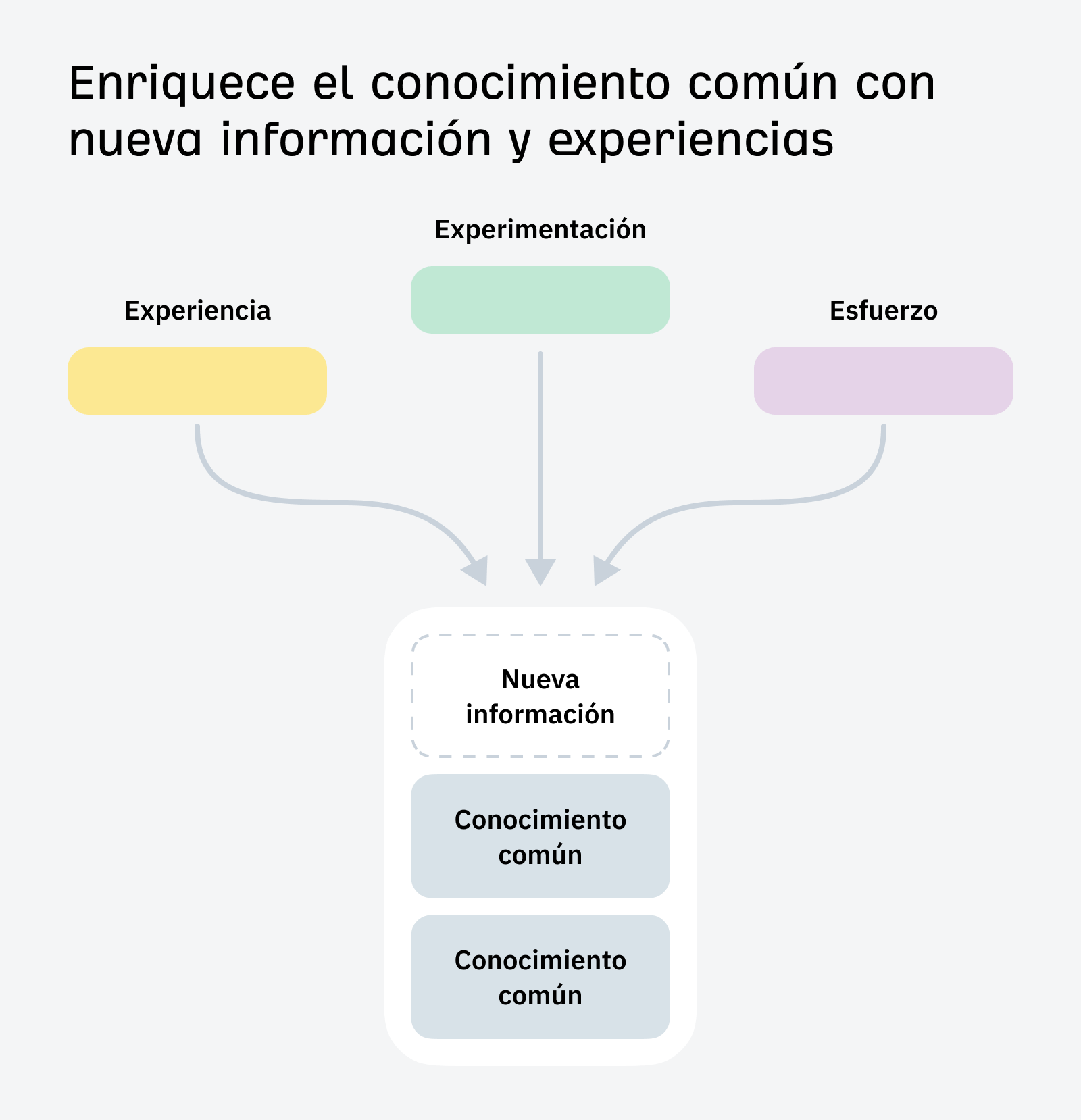 Enriquece el conocimiento común con información y experiencias nuevas en tu contenido.
