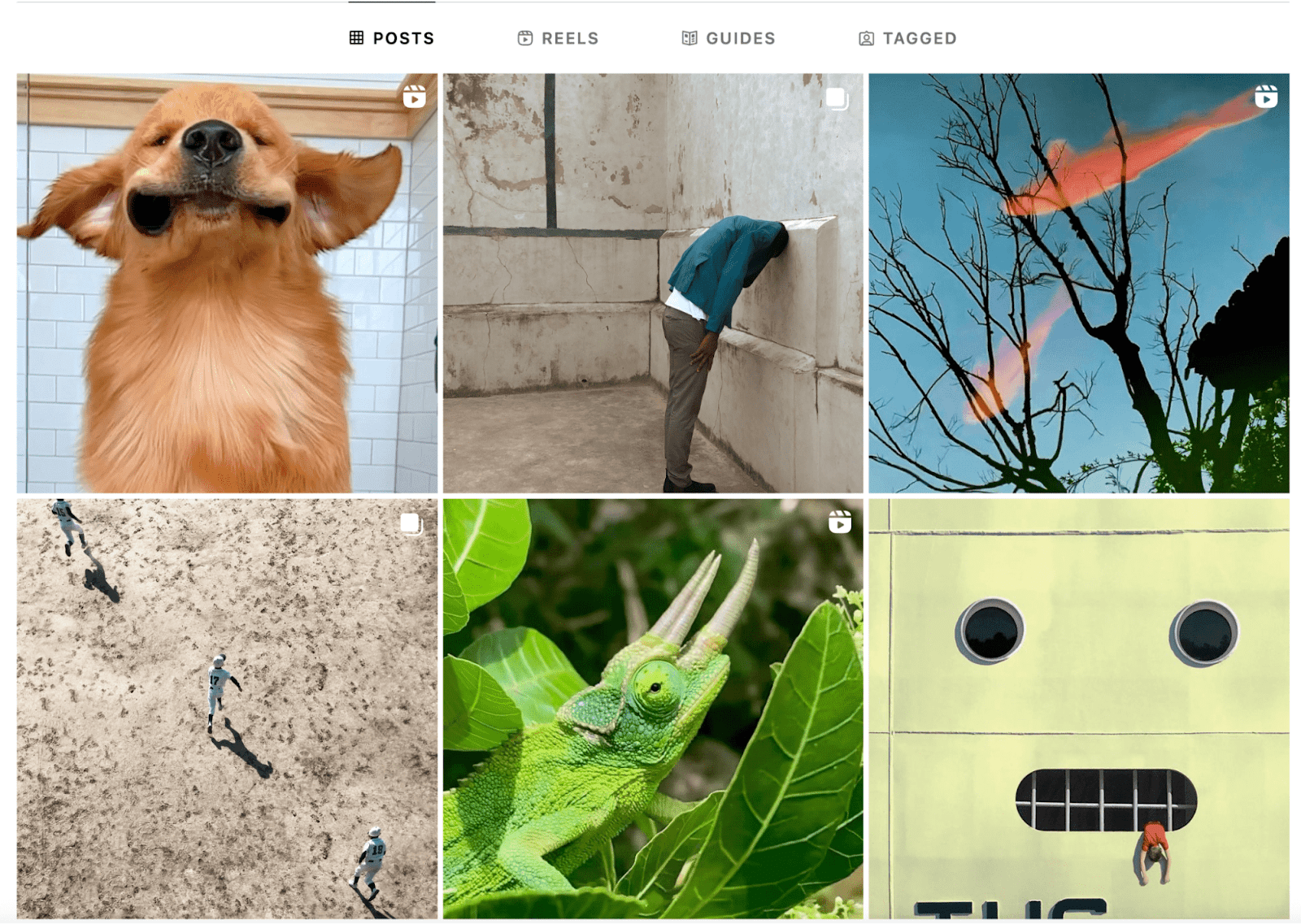 Feed del Instagram de Apple.