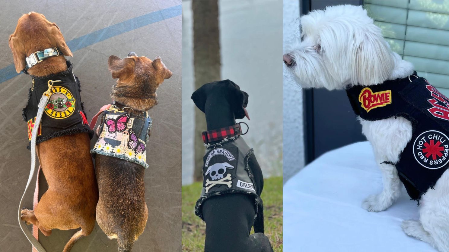Cuatro perros llevan chalecos con logotipos de bandas. Parches de Guns N' Roses, mariposas, una calavera, Bowie y los Red Hot Chili Peppers decoran los chalecos.