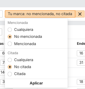 Filtro en Brand Radar 