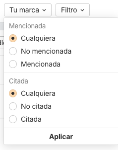 Filtros de marca en Brand Radar