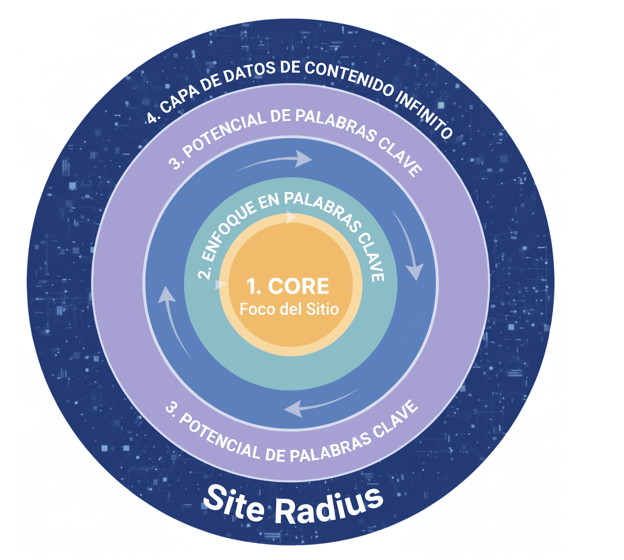 Diagrama visual basado en la filtración de la API de Google mostrando la puntuación de enfoque del sitio y el radio del sitio.