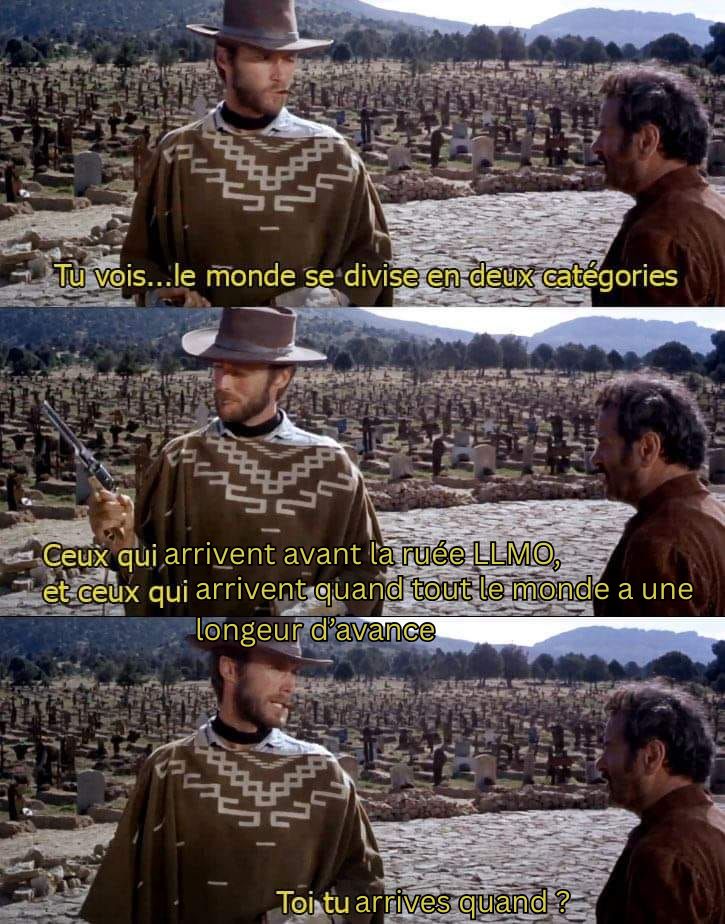 meme-llmo-bon-brute-truand-humour-seo