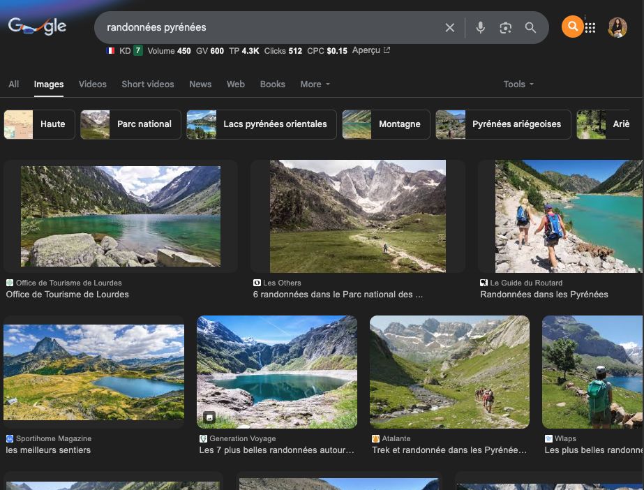 Exemples-entites-a-reprendre-pour-google-discover-explications