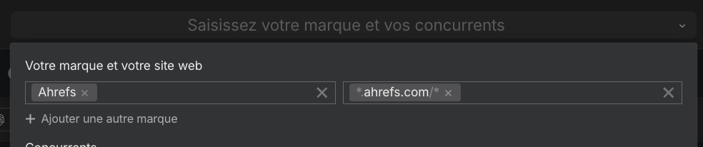 Etape pour ajouter son site dans Brand Radar pour délimiter l'entité marque