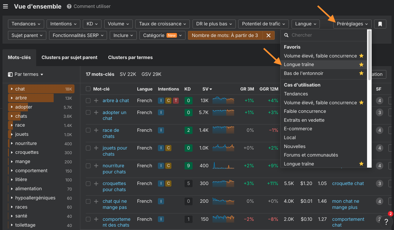 Capture d'écran de Keywords Explorer pour obtenir des requêtes longue traîne