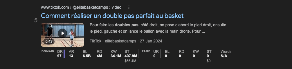 serp-video-tiktok-exemple