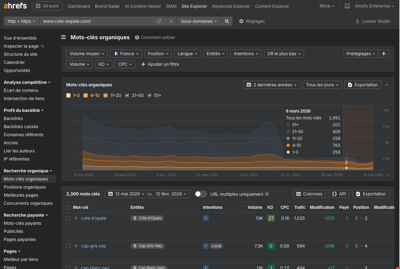 Capture d’écran du rapport « Mots-clés organiques » dans Site Explorer d’Ahrefs montrant les mots-clés sur lesquels un site web est positionné