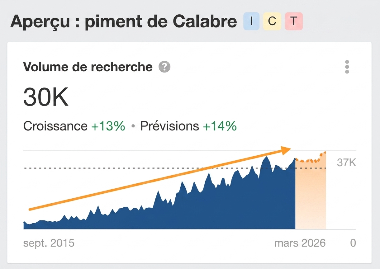 Exemple d'un mot-clé dont la demande de recherche augmente régulièrement depuis plus de 10 ans.