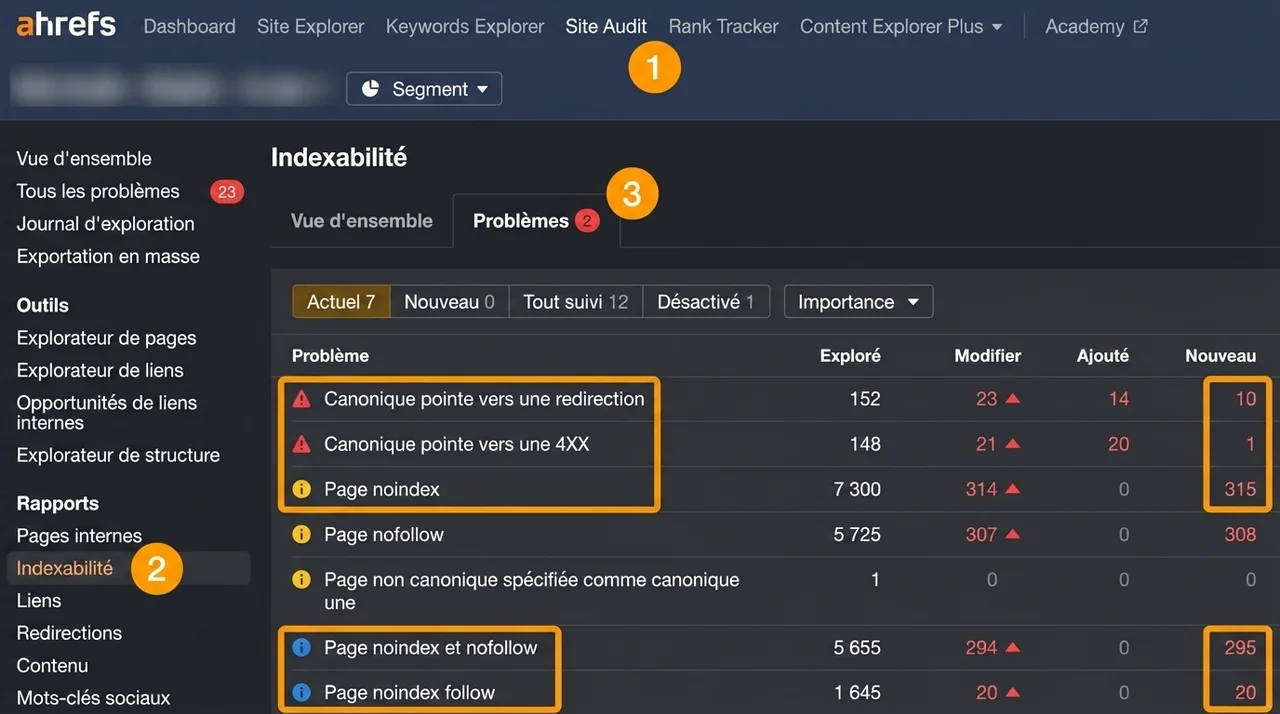 Problèmes d'indexabilité dans le Site Audit d'Ahrefs.