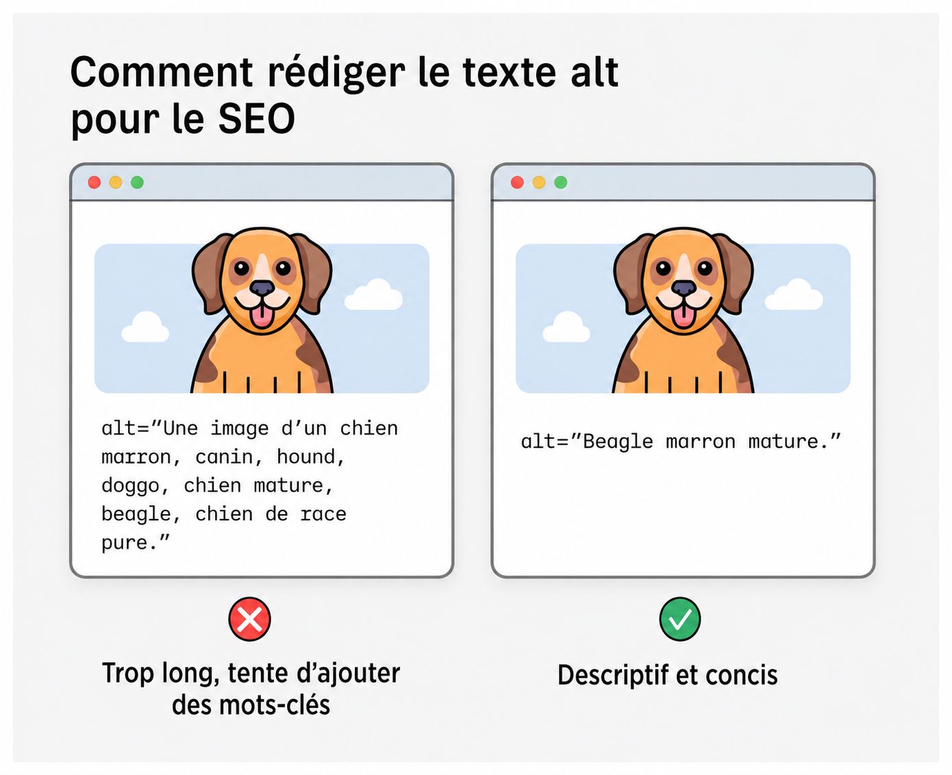 Rédiger le bon texte alt pour le seo 