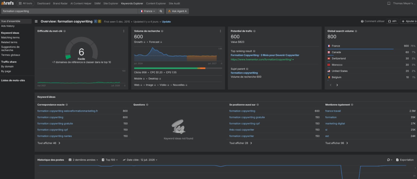 exemple-mots-cles-vises-par-thomas-meyer-strategie-maillage-interne