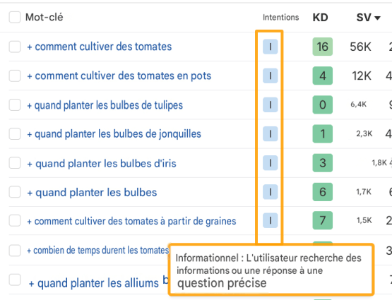 Intention de recherche de mots-clés informationnels