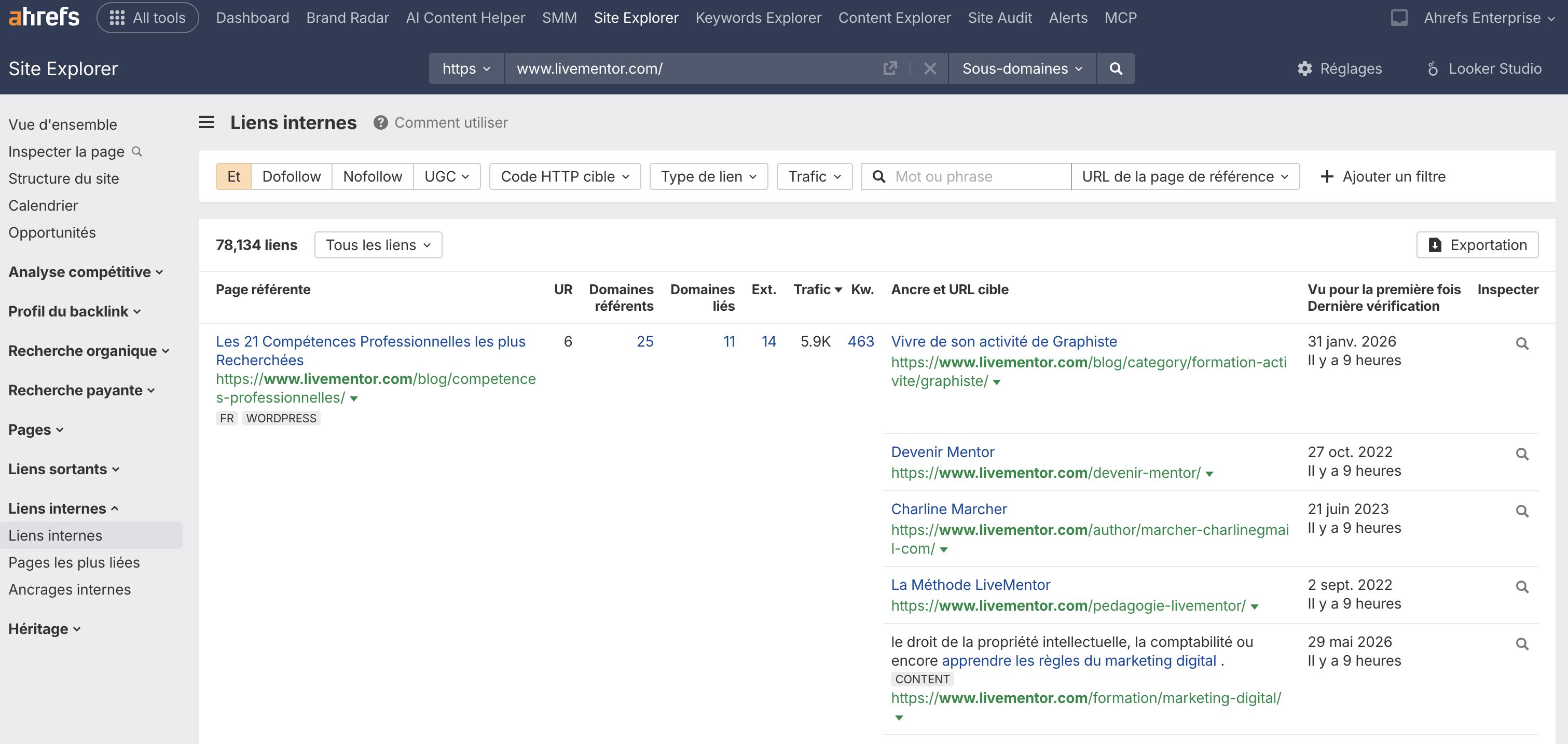 rapport-liens-internes-site-explorer-maillage-interne