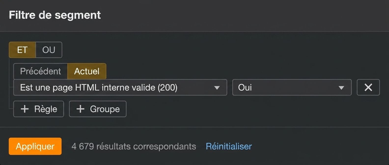 Application d'un filtre de segment dans Site Audit.