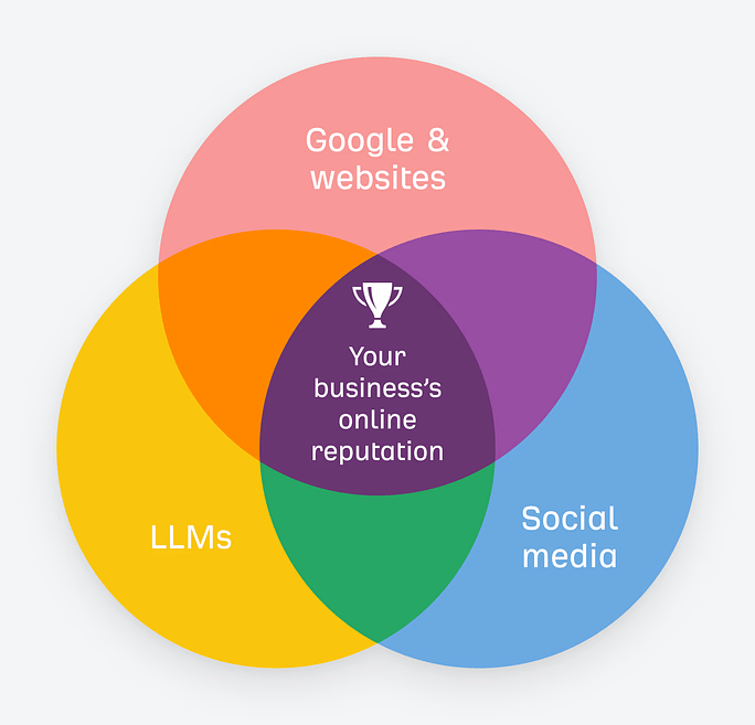 Google & websites、Social media、LLMs の３つが重なり合い、中央に “Your business’s online reputation”（自社のオンライン評判）と書かれたベン図