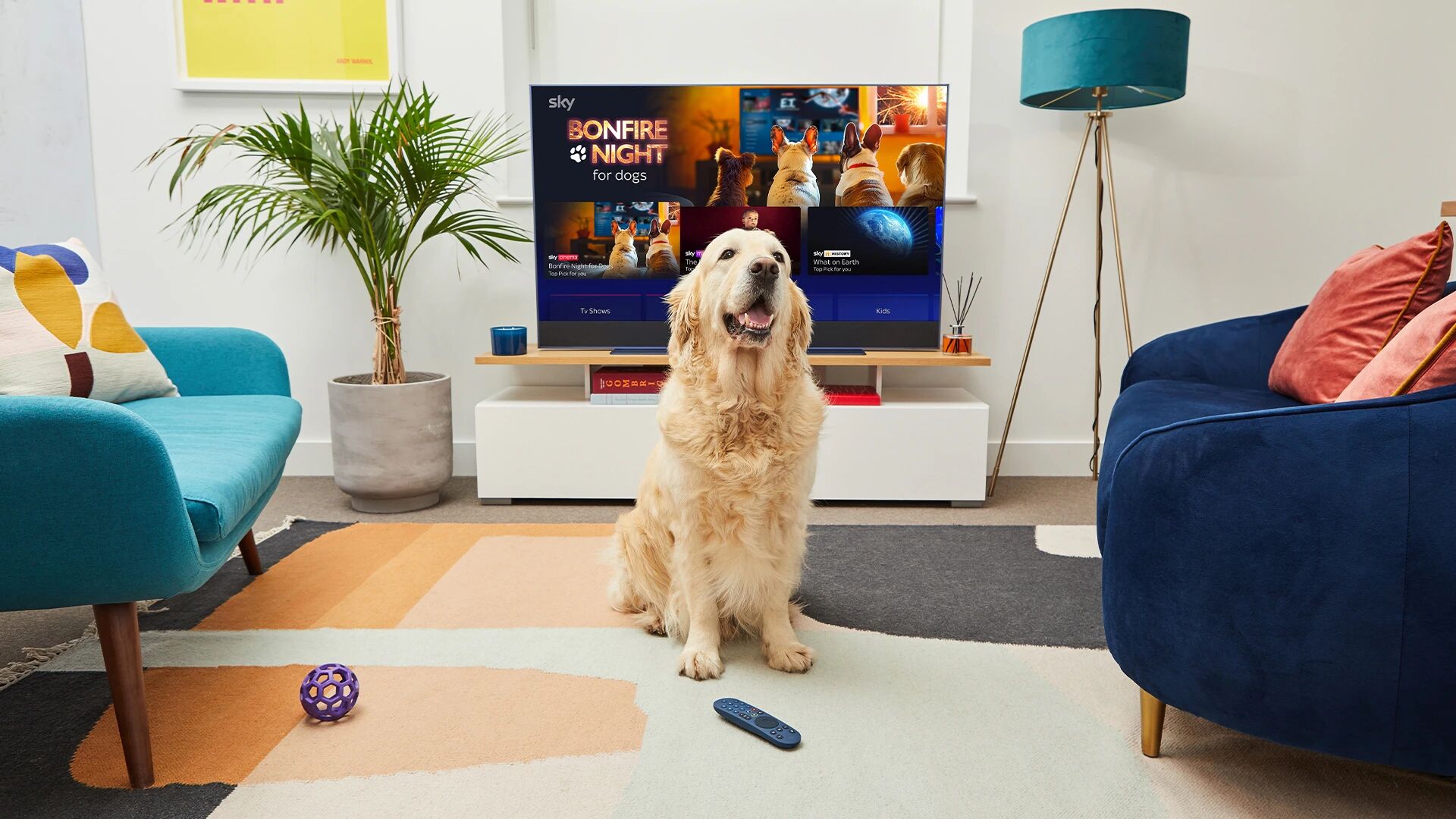 Sky と Dogs Trust：ガイ・フォークス・ナイトのポップアップ TV チャンネルのブランドコンテンツ