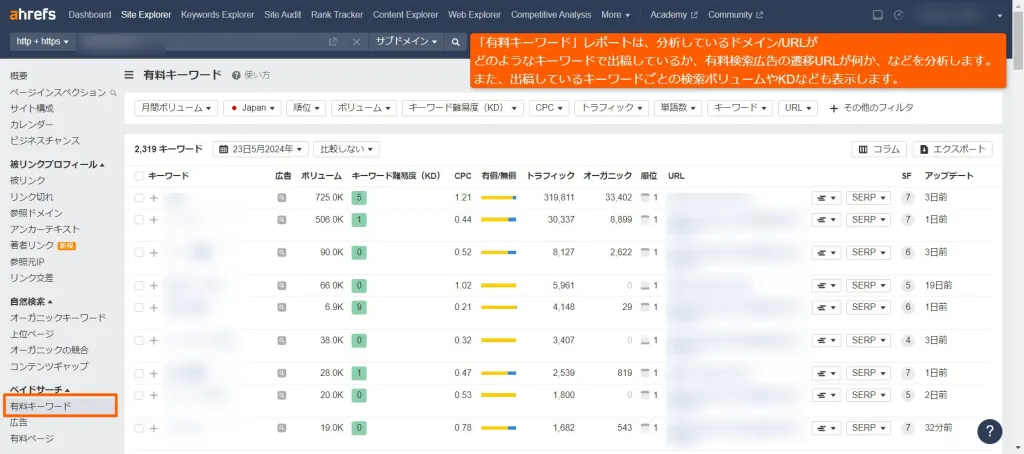 有料キーワードレポートの表示