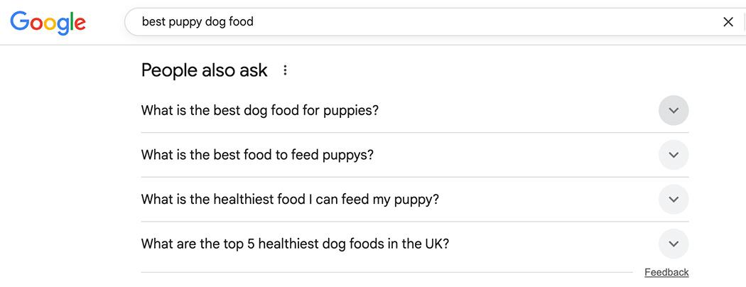Google 検索で「best puppy dog food」と入力した結果画面に表示された「People also ask（他の人はこちらも質問）」の質問一覧を示す検索結果 UI のスクリーンショット