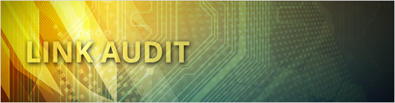 Link Audit: Competitive Backlink Analysis