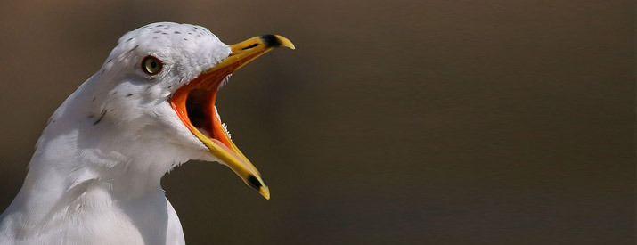 You Are Not Google – Online Mistakes You Can’t Get Away With