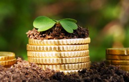 Modern-Digital-Marketing-Follow-7-Simple-Steps-to-Generate-More-ROI