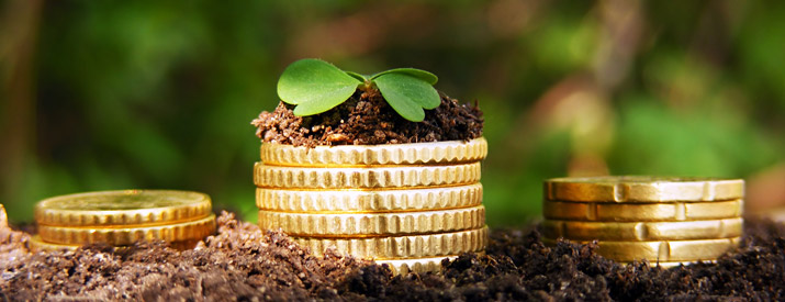 Modern Digital Marketing: Follow 7 Simple Steps to Generate More ROI