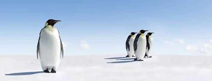 Penguin 3.0: Impact and Major Targets