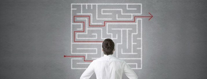 Your Guide to Succeed in SEO