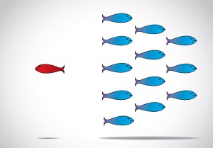 A Sharp Smart Alert Happy Red Fish With Open Eyes Going In Oppos