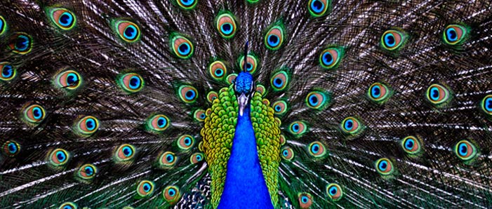 How To Get Traffic With Long Tail Keywords And 4 Tools That Help