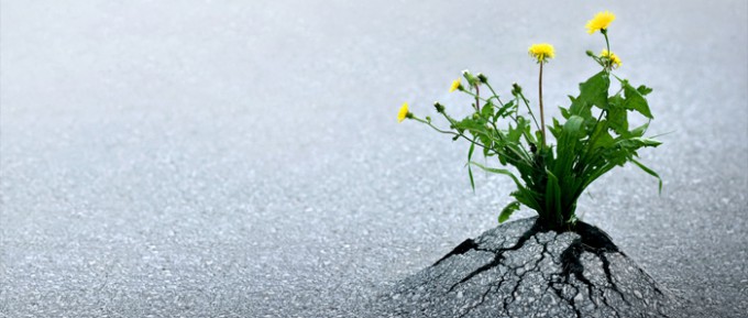 build-links-with-articles