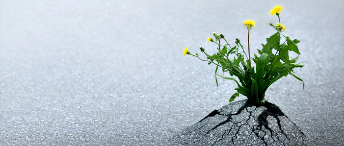 How to Build Keyword Rich Links With Guest Articles When All the Odds Are Against You