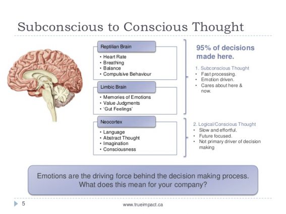 the-decision-making-process-neuromarketing-overview-5-728