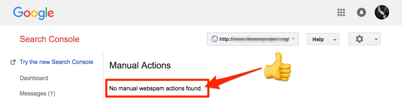 search console no manual actions