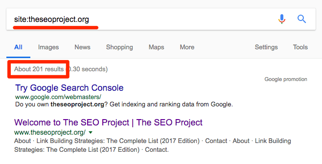 site search google