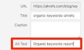 alt tag wordpress
