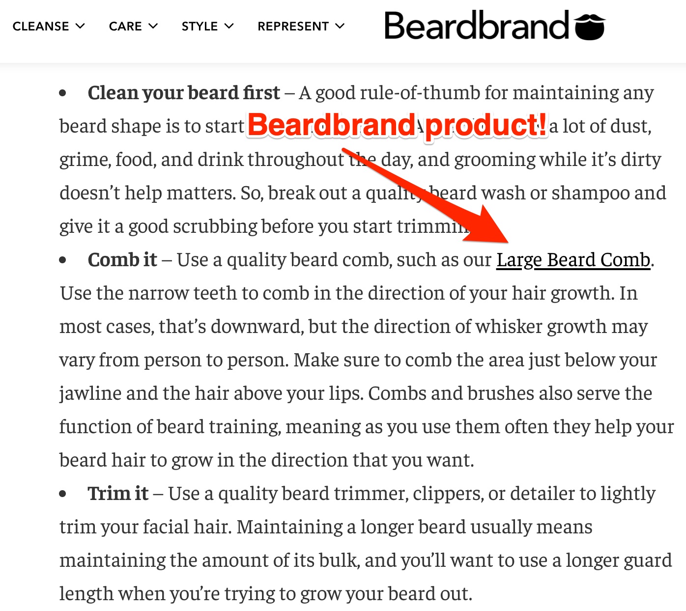 Beardbrand blog post