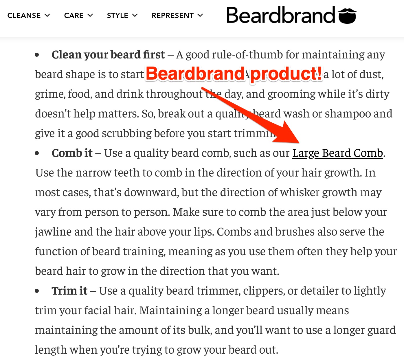 beardbrand blog post